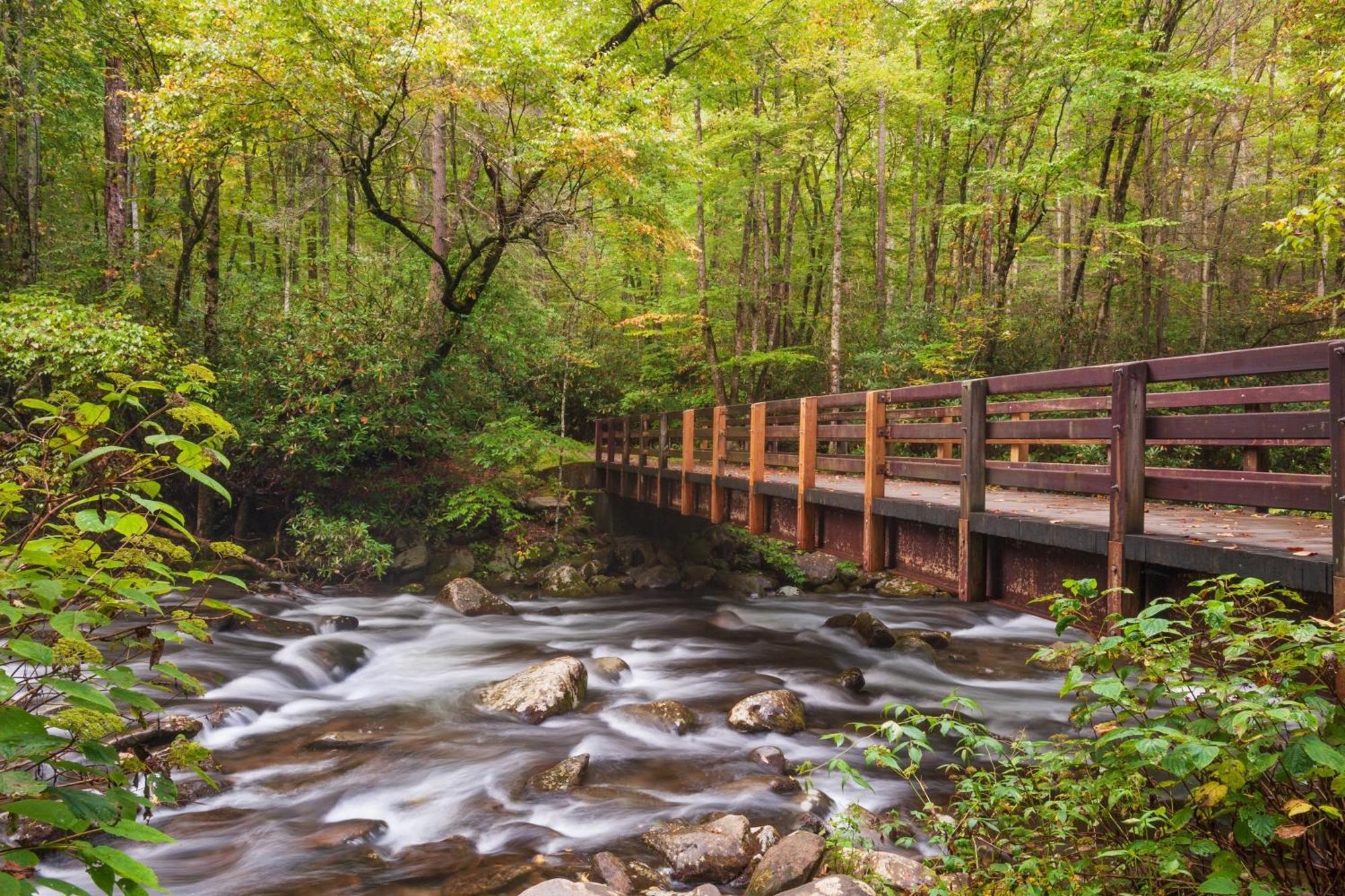Serenity Heights, Amazing Views, Hot Tub Pool Access, 1089 Free Tickets Each Paid Day, Dollywood Gatlinburg Dış mekan fotoğraf